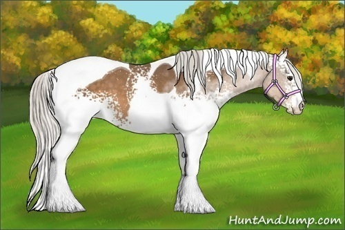 Horse Color:White Spotted Silver Buckskin Tobiano 