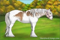 Horse Color:White Spotted Silver Buckskin Tobiano