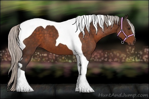 Horse Color:Silver Brown Tobiano 