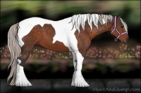 Horse Color:Silver Brown Tobiano 