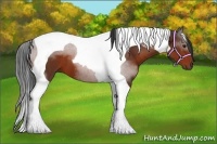 Horse Color:Brown Tobiano