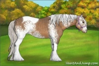 Horse Color:White Spotted Silver Buckskin Tobiano 