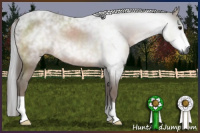 Horse Color:Gray Bay 