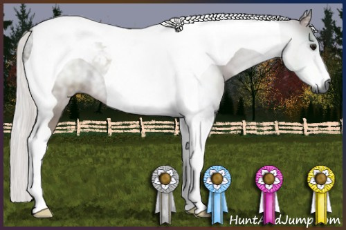 Horse Color:Gray Silver Bay Tobiano