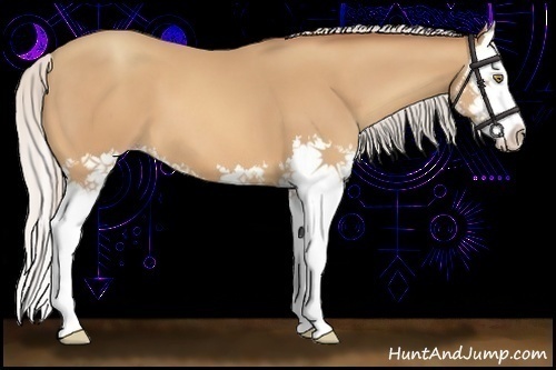 Horse Color:Silver Amber Champagne Splash 