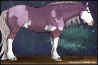 Horse Color:Silver Grullo Roan Sabino Splash and Silver Blue Roan Splash