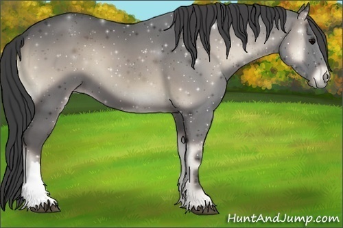 Horse Color:Smoky Blue Onyx 