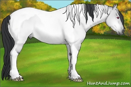 Horse Color:Bay Chinchilla Dun Tobiano 