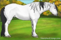 Horse Color:Bay Chinchilla Dun Tobiano
