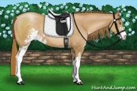 Horse Color:Chestnut Pearl Sabino