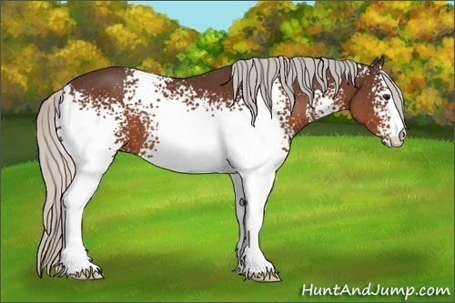 Horse Color:White Spotted Silver Brown 