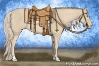 Horse Color:Cremello