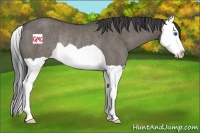 Horse Color:Smoky Grullo Splash Rabicano