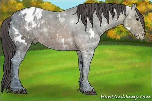 Horse Color:White Spotted Brown Ice Varnish