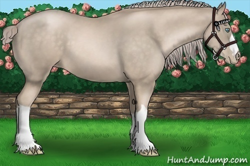 Horse Color:Chocolate Palomino Pearl