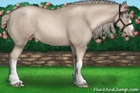 Horse Color:Chocolate Palomino Pearl 