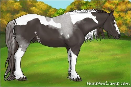 Horse Color:White Spotted Liver Chestnut Tobiano 