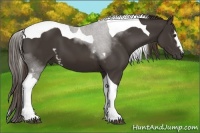 Horse Color:White Spotted Liver Chestnut Tobiano 