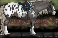 Horse Color:Liver Chestnut Sabino Splash Near Leopard