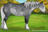 Horse Color:Silver Black Chinchilla