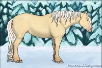 Horse Color:Silver Amber Cream Champagne Dun 