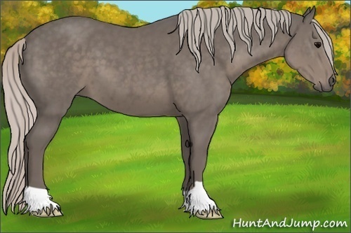 Horse Color:Silver Black 