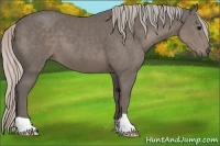 Horse Color:Silver Black