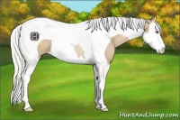 Horse Color:Silver Black Pearl Splash Tobiano 