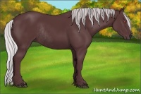 Horse Color:Chocolate Silver Black Chinchilla Rabicano
