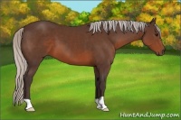 Horse Color:Silver Brown 