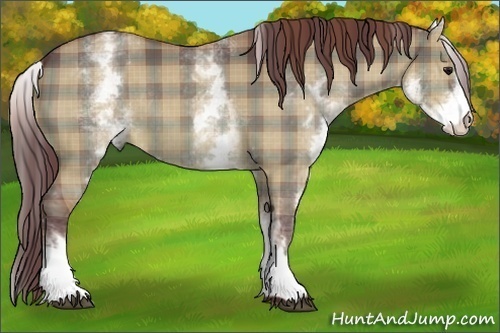 Horse Color:Plaid  White Spotted Chocolate Brown Dun Rabicano 