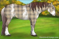 Horse Color:Plaid White Spotted Chocolate Brown Dun Rabicano