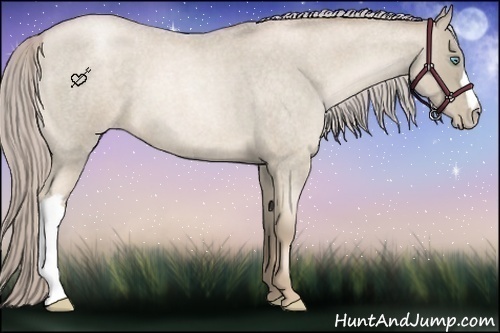 Horse Color:Chocolate Palomino Roan Pearl 