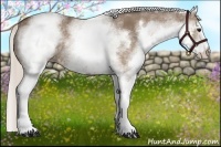 Horse Color:White Spotted Silver Black 