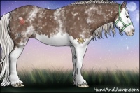 Horse Color:White Spotted Silver Black Splash