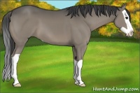 Horse Color:Smoky Grullo Splash 