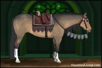 Horse Color:Brown Dun 