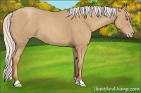 Horse Color:Silver Classic Champagne 