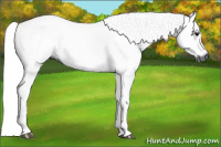 Horse Color:Gray Black 