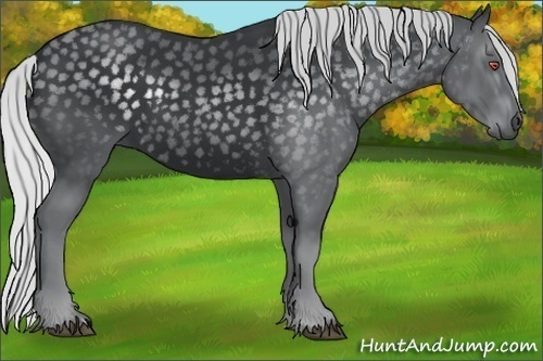 Horse Color:Silver Black Chinchilla 