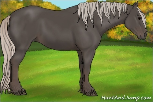 Horse Color:Silver Black 