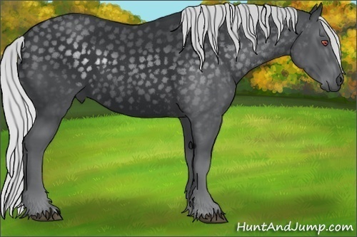Horse Color:Silver Black Chinchilla
