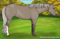 Horse Color:Silver Grullo 