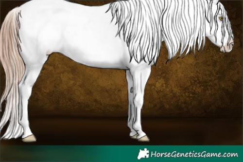 Horse Color:Gold Champagne Ice Varnish 