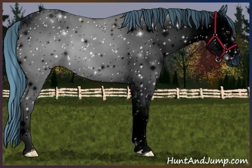 Horse Color:ERROR: UNKNOWN ANOMALY