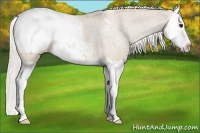 Horse Color:Silver Brown Dun Sabino Splash Snowcap 