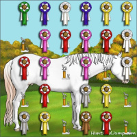 Horse Color:Classic Champagne Dun Sabino Tobiano Varnish 