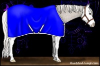 Horse Color:Silver Smoky Black Splash Appaloosa 