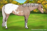 Horse Color:Silver Bay Snowcap