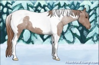 Horse Color:Chestnut Tobiano Varnish